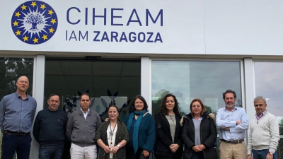 The IOC and CIHEAM-IAMZ met to establish the advanced course on the monitoring and surveillance of olive pathogens