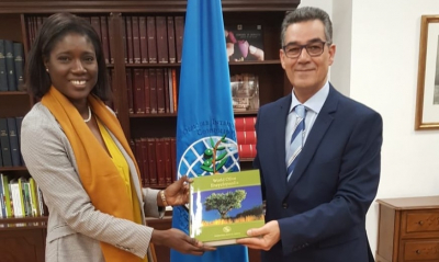 Senegal’s Ambassador visiting the International Olive Council
