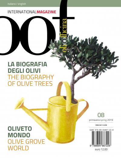 The biography of olive trees