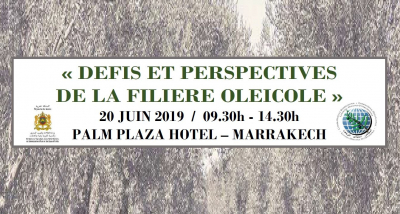 Seminar in Marrakech: challenges and prospects of the olive sector