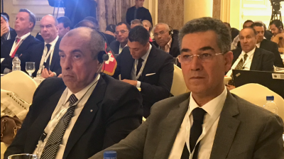 Iooc, investment opportunities in the Egyptian olive sector