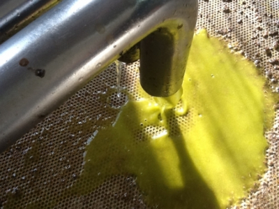 Microwaves and megasounds for olive oil extraction