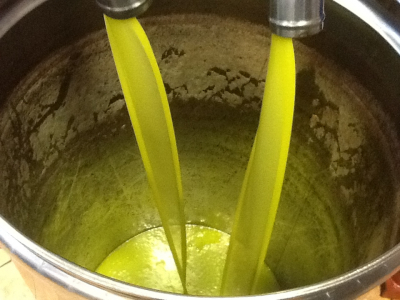 Olive oil: estimates for 2015-16