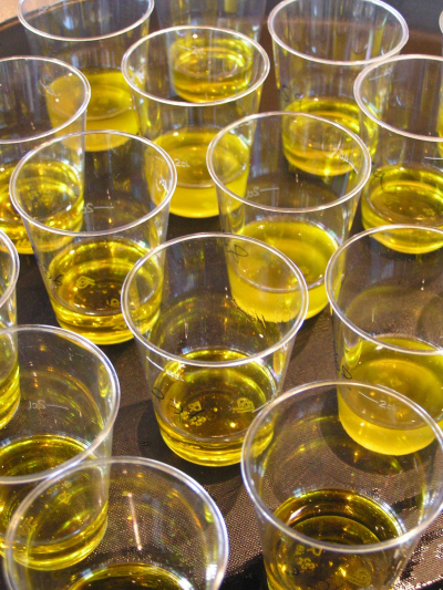 Olive oil stocked in Italy. Update of 30 November 2020