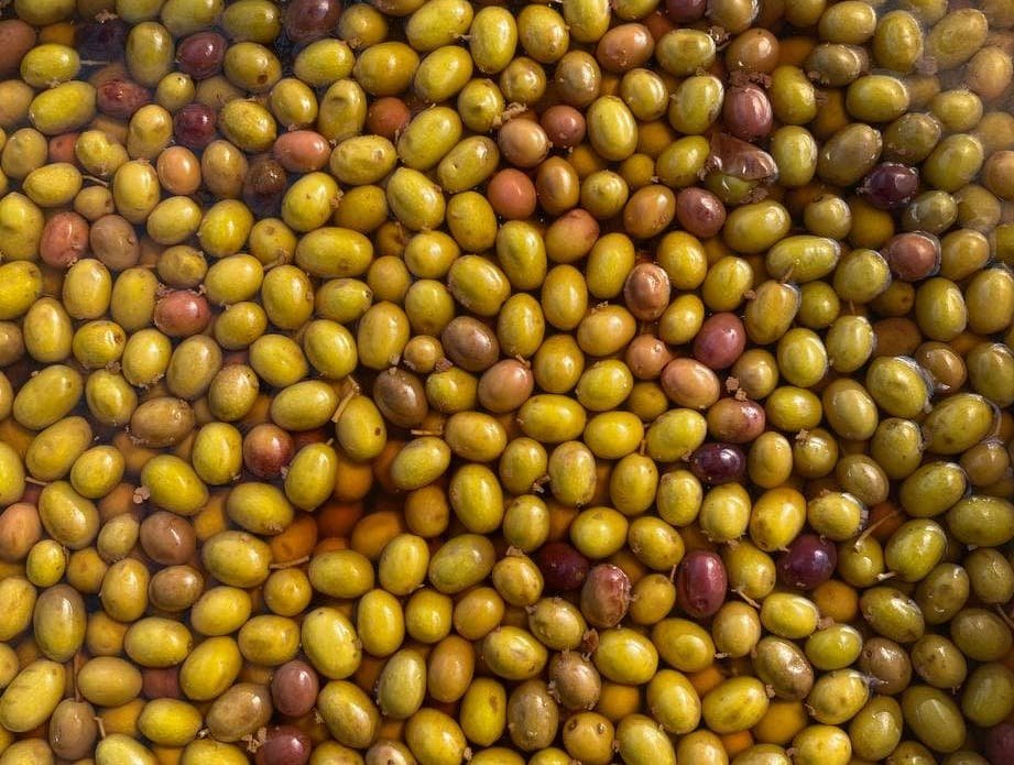 Rivoluzione Taggiasca. Produrre e commercializzare l’oliva in salamoia con soluzioni innovative