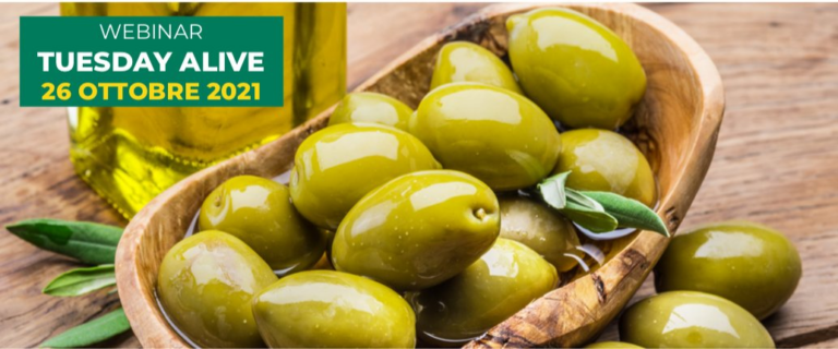 Le olive da tavola Nocellara del Belice e Termite di Bitetto