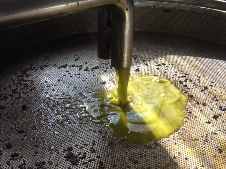 È l’olio da olive a segnare numeri da record