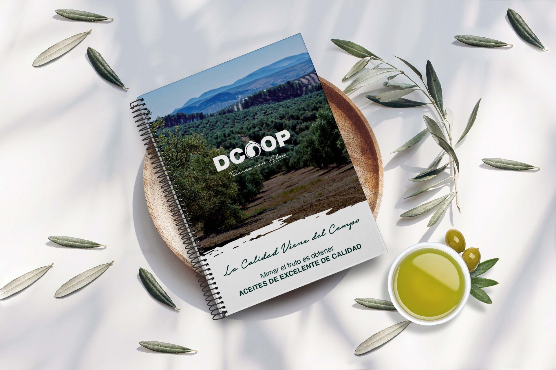 Dcoop celebra el Día del Olivo con la edición de un libro de buenas prácticas