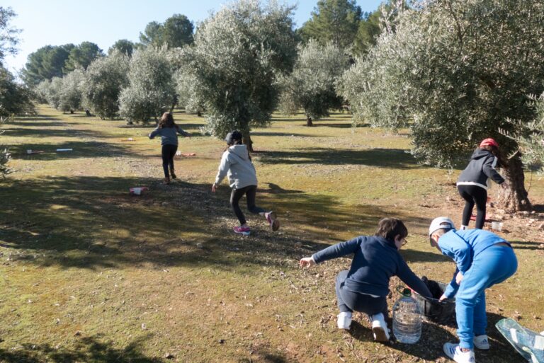 Un modello di olivicoltura per tutelare la biodiversità