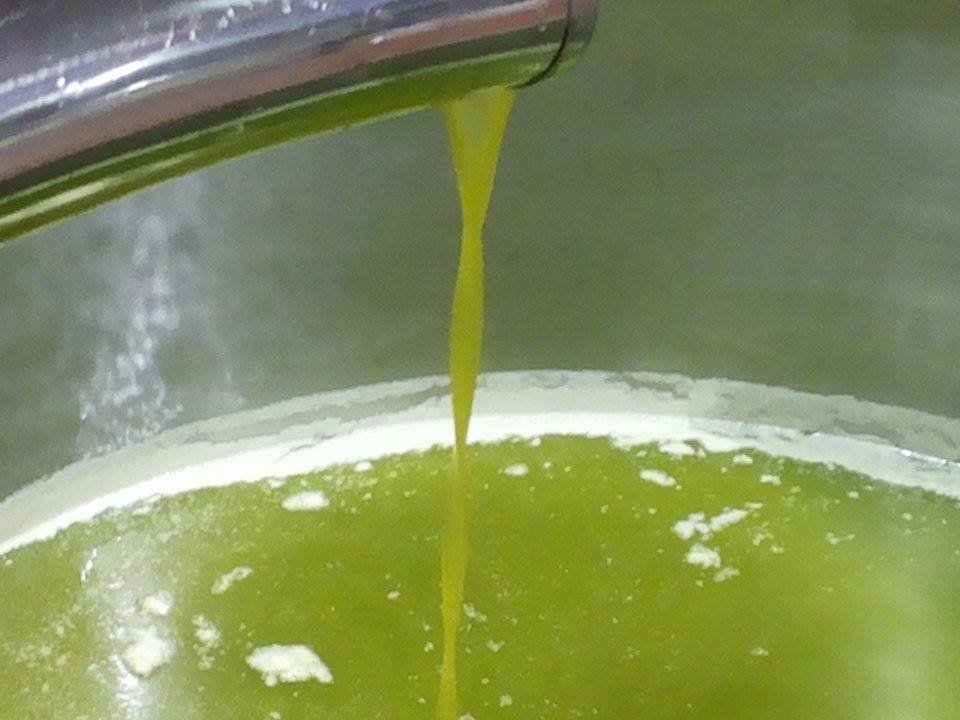 Olive oil: provisional data for 2014-15