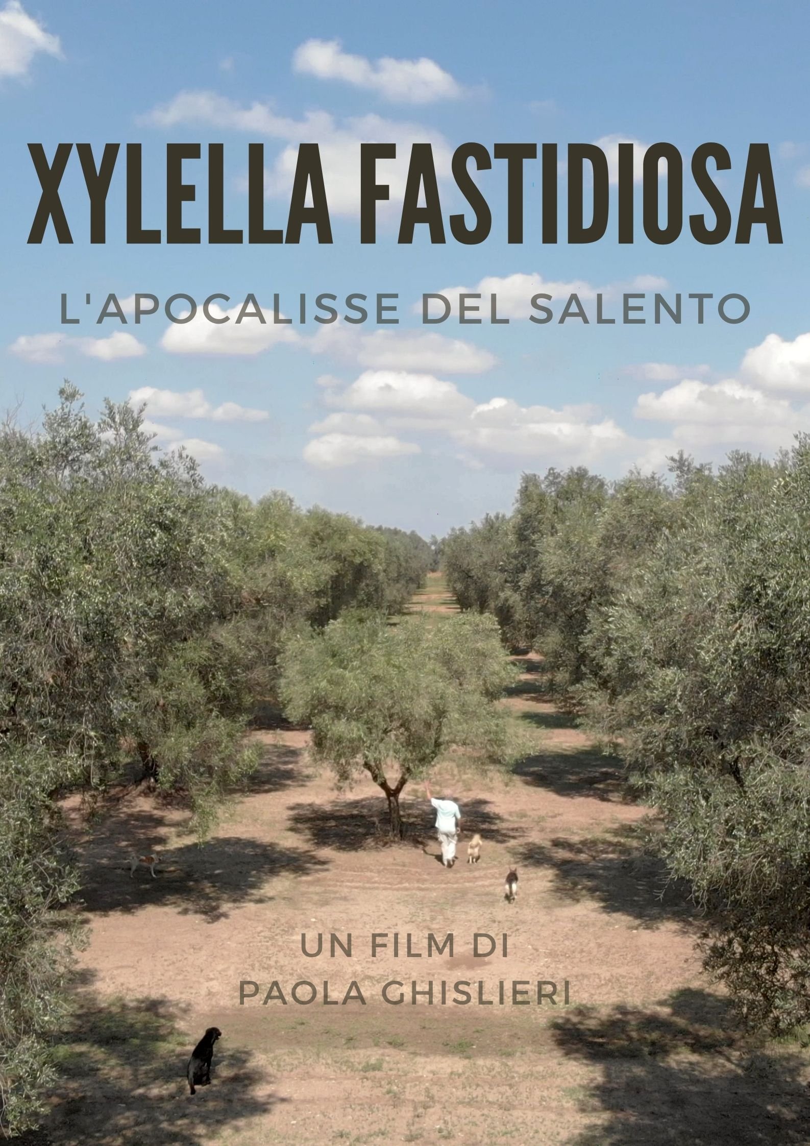 L’apocalisse del Salento, un cortometraggio di Paola Ghislieri sulle devastanti conseguenze della Xylella
