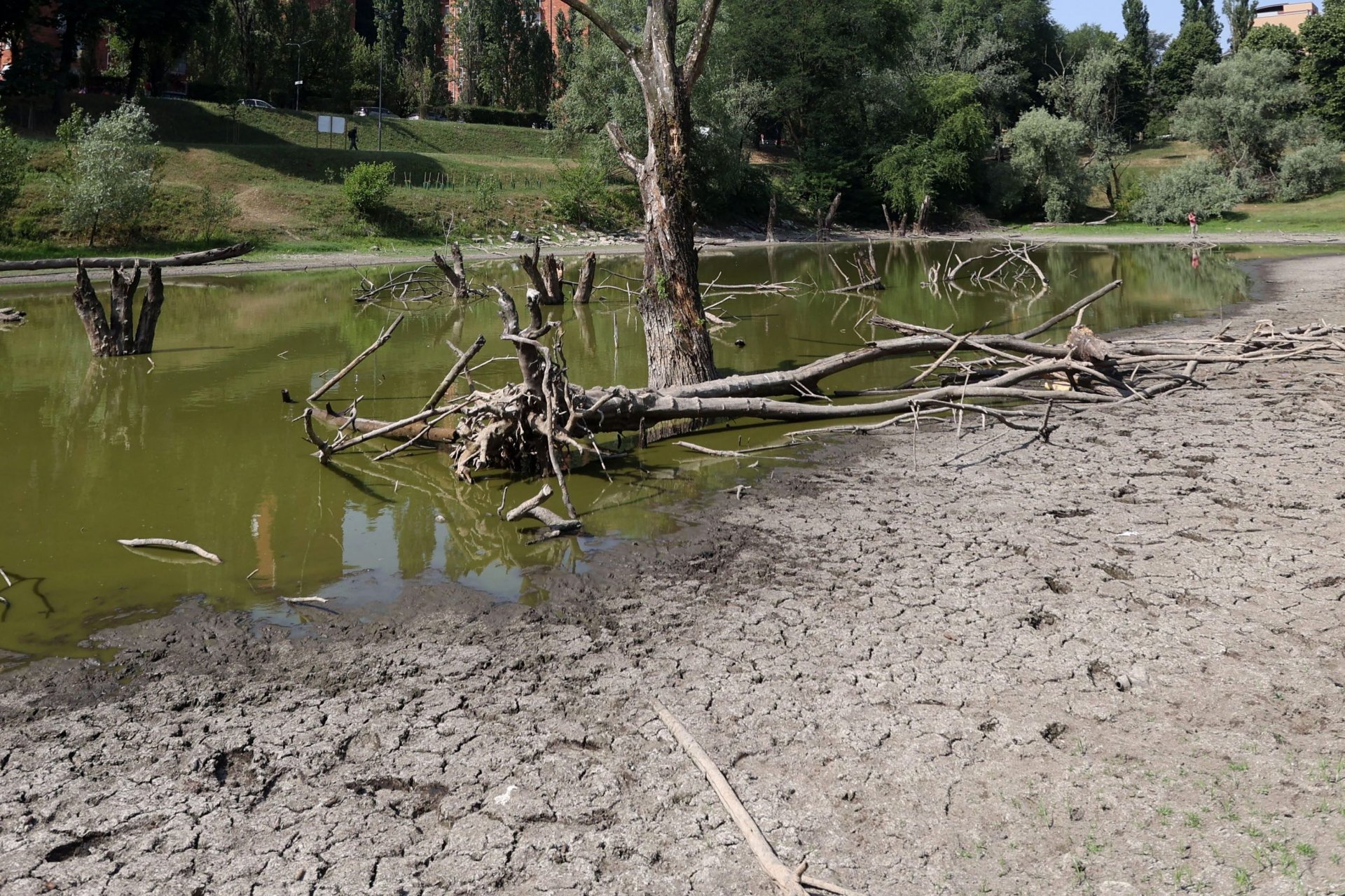 Si contano i primi danni dovuti alla siccità: urgenti azioni e nuove misure