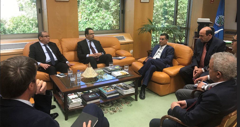 La Tunisia e il Consiglio oleicolo internazionale intensificano la collaborazione