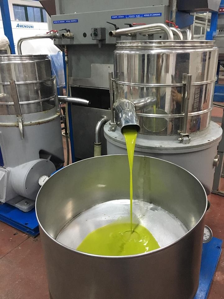 Dalle olive all'olio in sei mosse