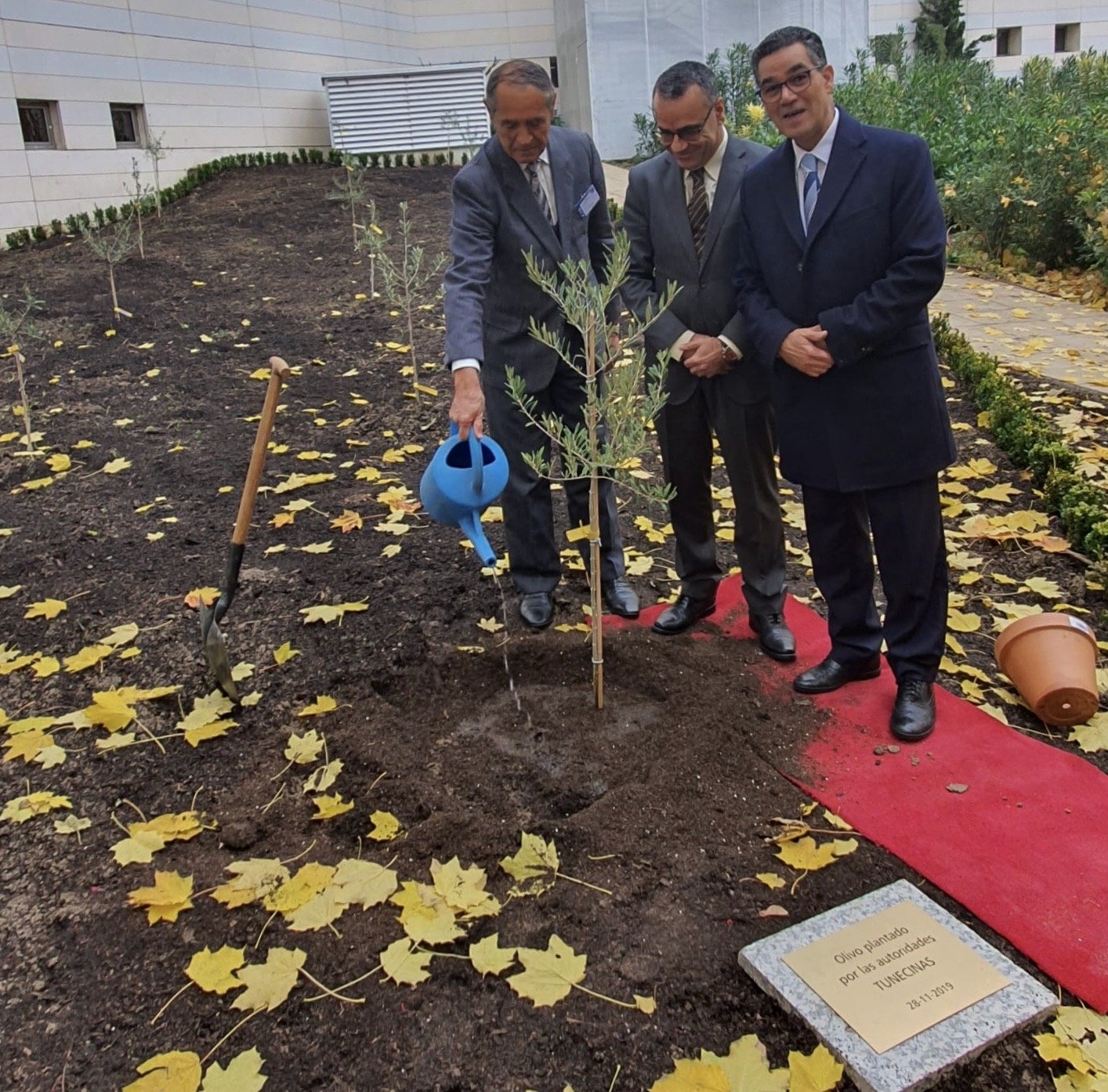 Madrid,  il direttore esecutivo del Consiglio oleicolo internazionale Abdellatif Ghedira ha inaugurato il giardino di ulivi del Coi