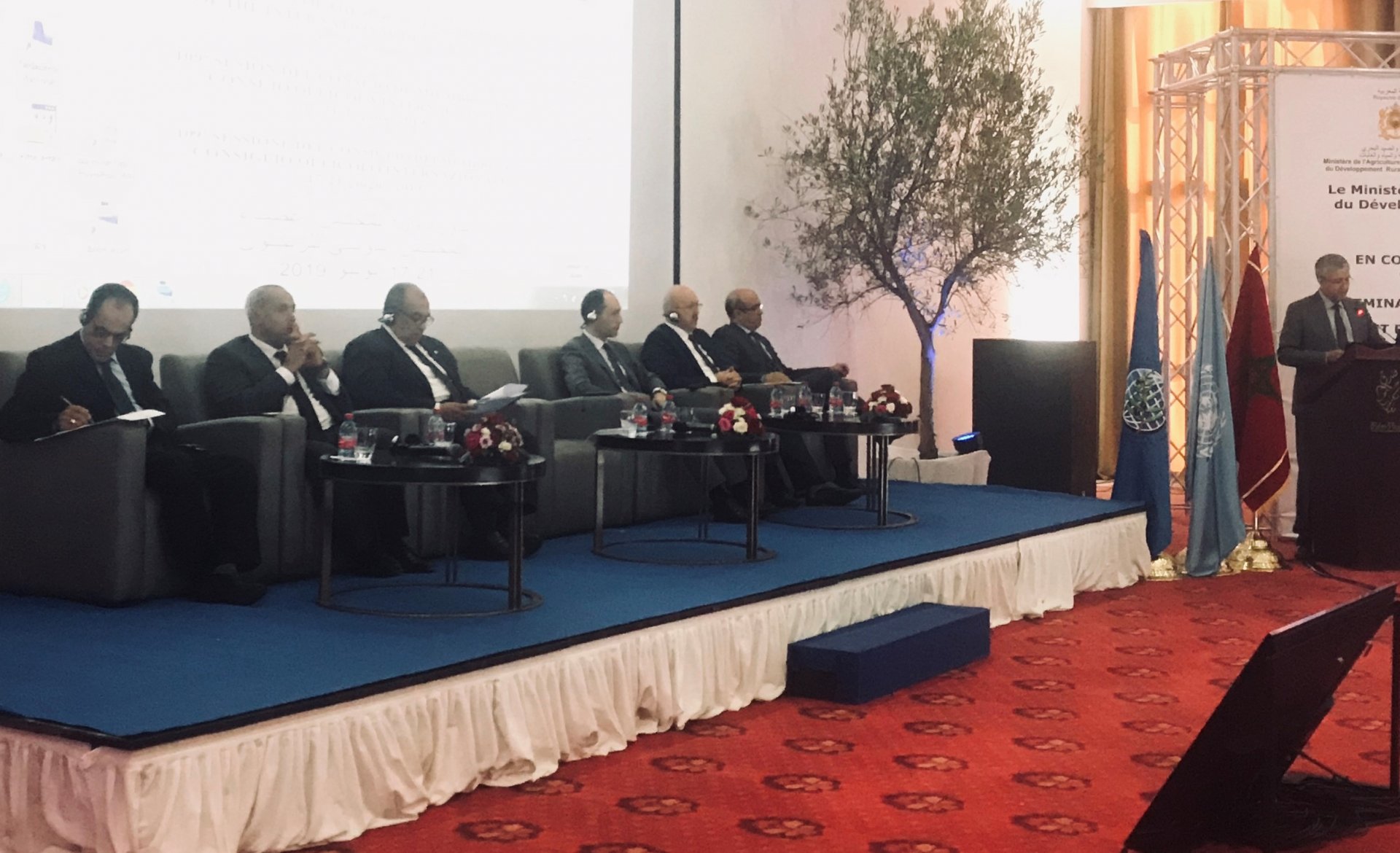 A Marrakech un seminario del Consiglio oleicolo internazionale sul futuro del settore olivicolo