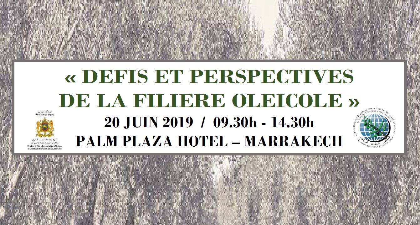 Marrakech: un seminario tecnico su difesa e prospettive della filiera olivicola