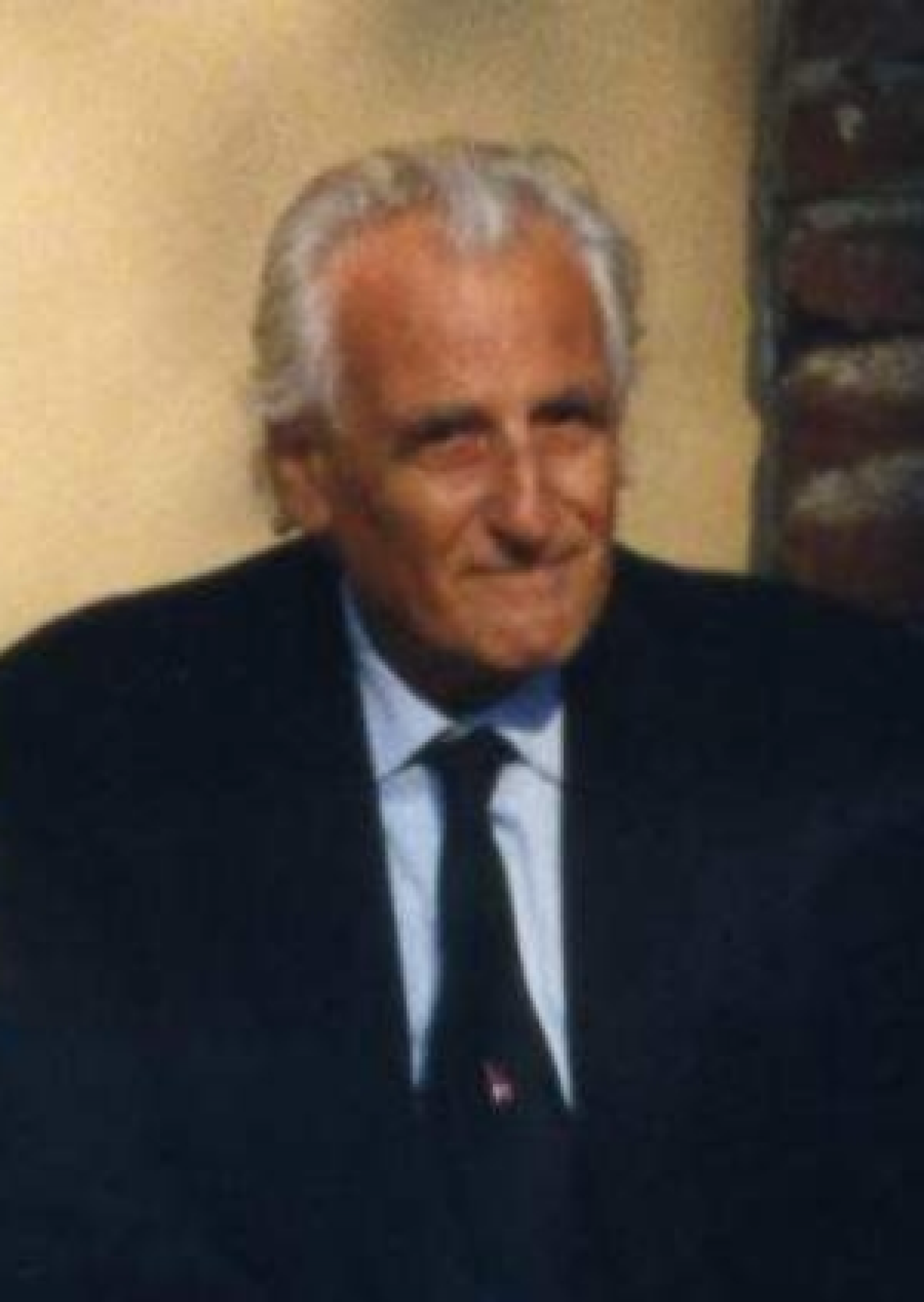 Enzo Fedeli