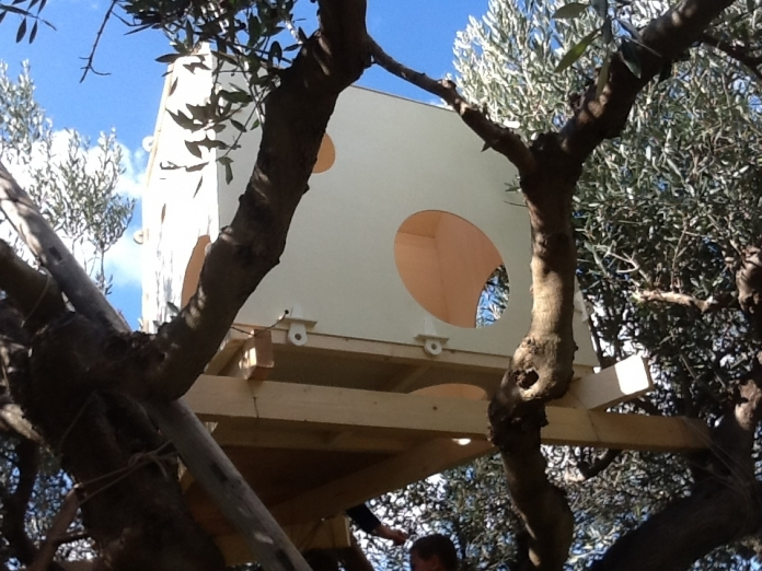 A house on an olive tree