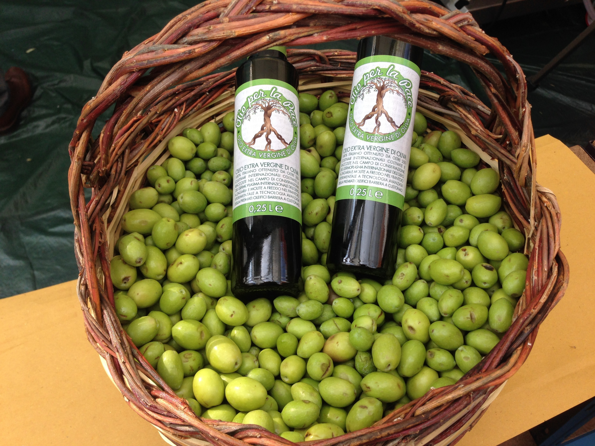 Olive per l'Olio della Pace