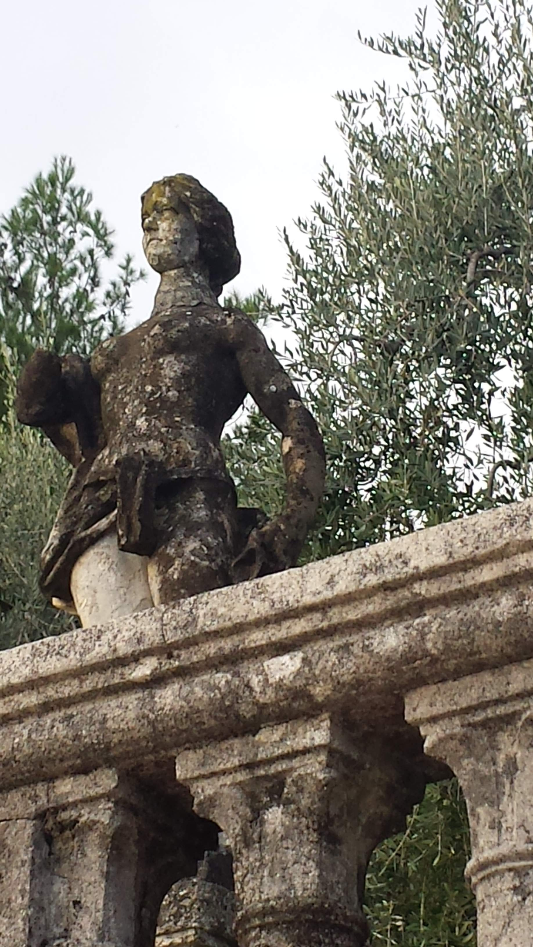 Eros e olivo sul Garda