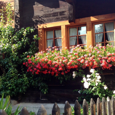 Finestra fiorita a Zermatt