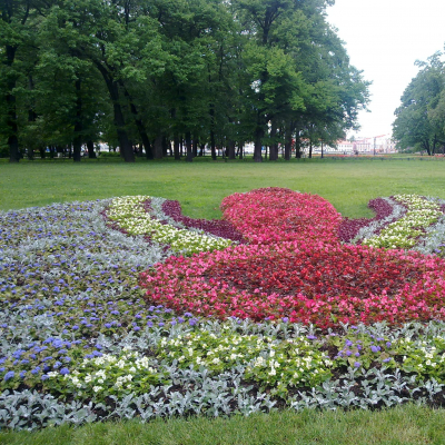 Prato in un parco a San Pietroburgo, con composizioni di fiori