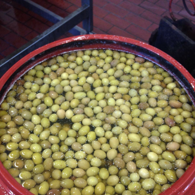 La produzione delle olive da mensa