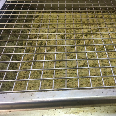 La gramolazione della pasta delle olive destinate alla oleificazione