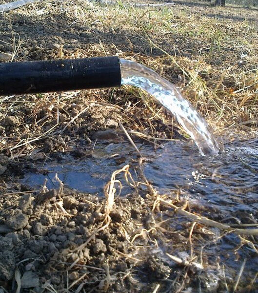 Si contano i primi danni dovuti alla siccità: urgenti azioni e nuove misure