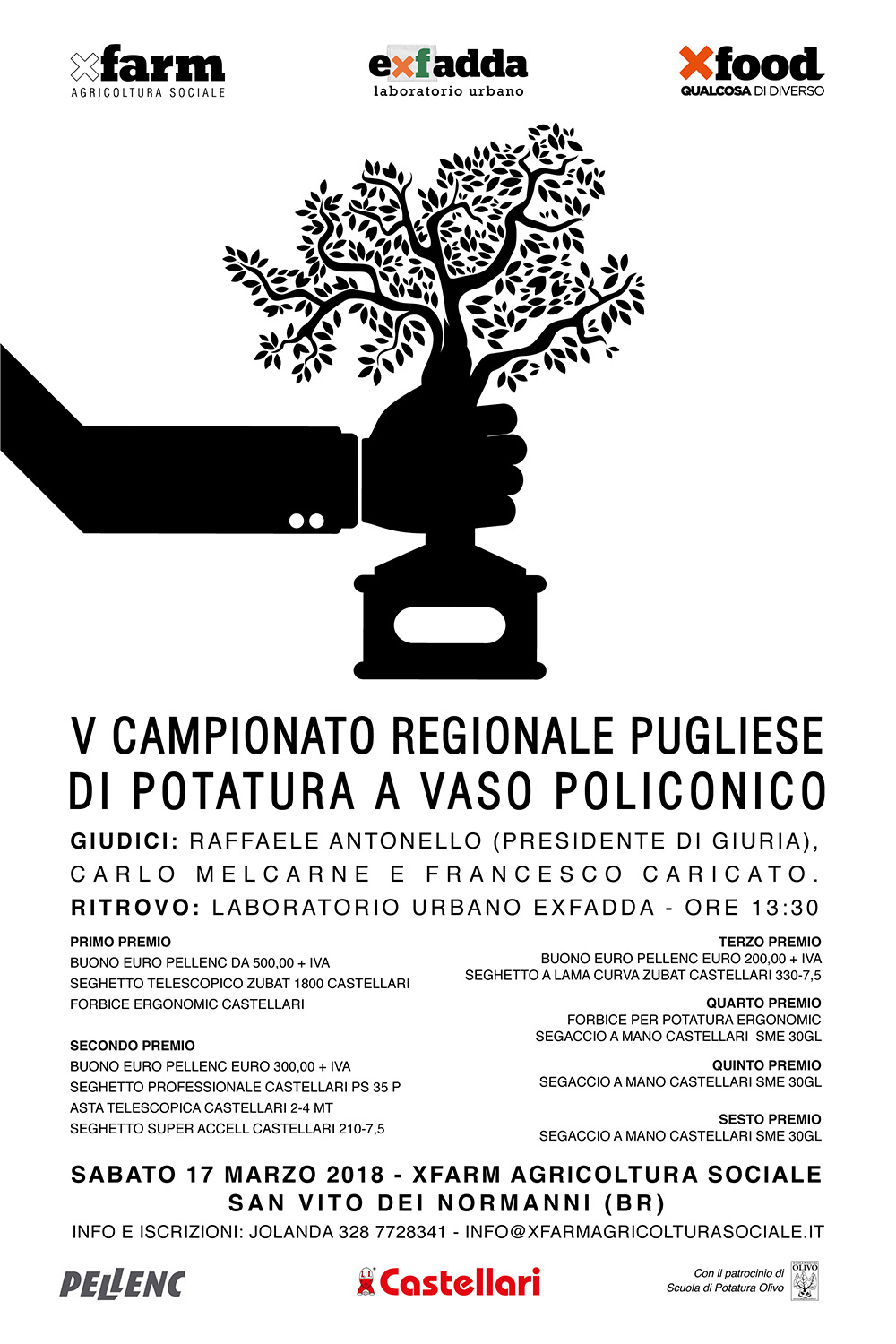 Potatura dell’olivo a vaso policonico, quinto campionato regionale in Puglia il prossimo 17 marzo