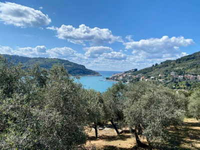 La bellezza tra mare e olivi di Liguria