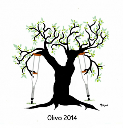 L’olivo malconcio