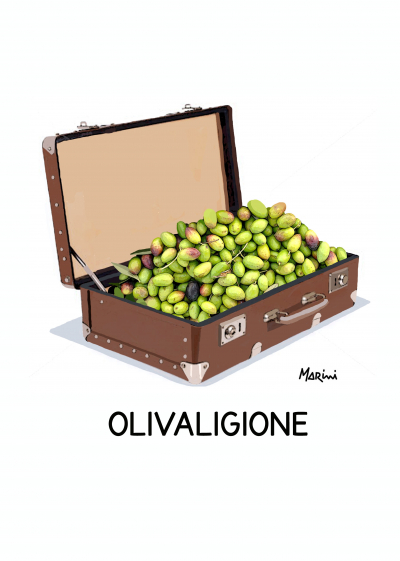 Un carico di olive