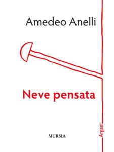 Amedeo Anelli: Neve pensata