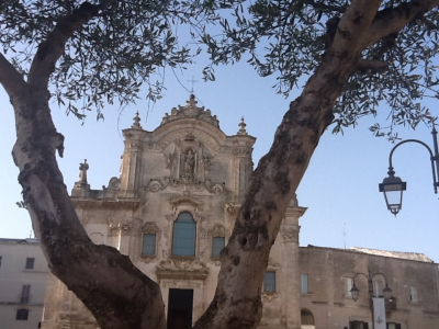 L’olivo e la chiesa
