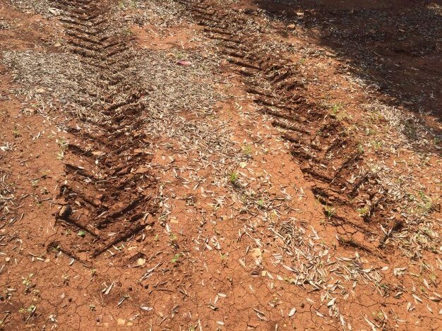 Il terreno agrario è qualcosa di vivo