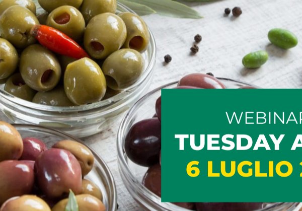 Per ottenere le migliori olive da mensa sono necessarie le più innovative tecniche colturali