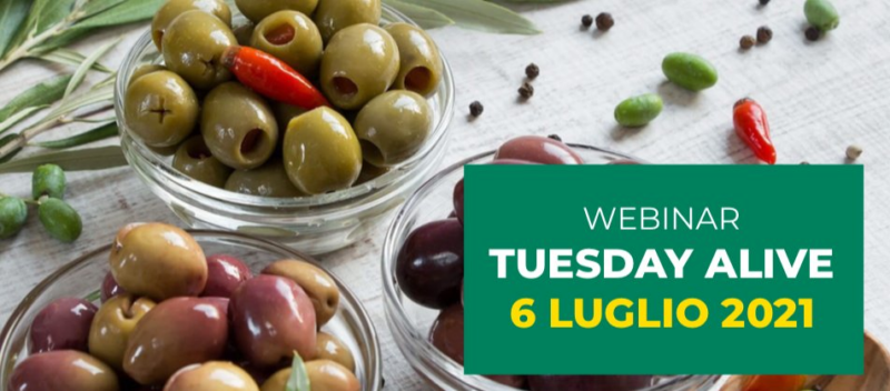 Per ottenere le migliori olive da mensa sono necessarie le più innovative tecniche colturali