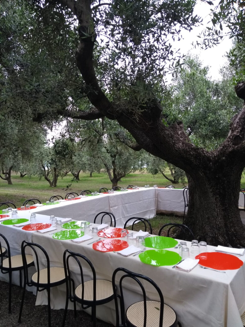 A Recanati, dalle sorelle Gabrielloni, la cucina di campagna dell’Infinito