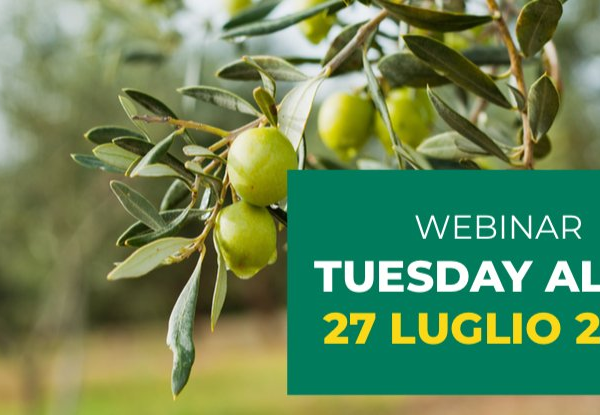 La difesa fitosanitaria dell’olivo, tutto quel che serve sapere
