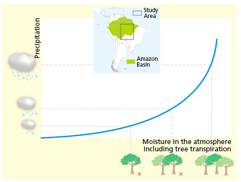 Il ciclo dell’acqua e della piovosità viene influenzato dalla deforestazione