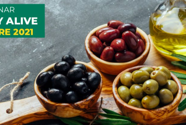 Non c’è successo commerciale con le olive da tavola senza la necessaria preparazione