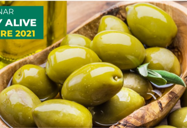 Le olive da tavola Nocellara del Belice e Termite di Bitetto