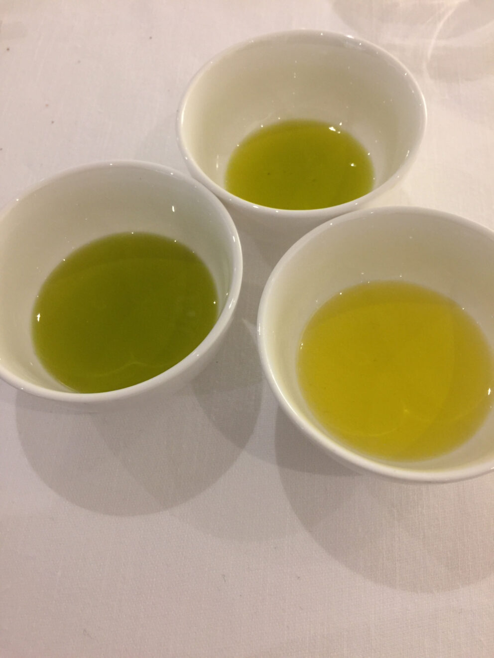 Introdotta in Spagna la nuova norma di qualità per gli oli da olive