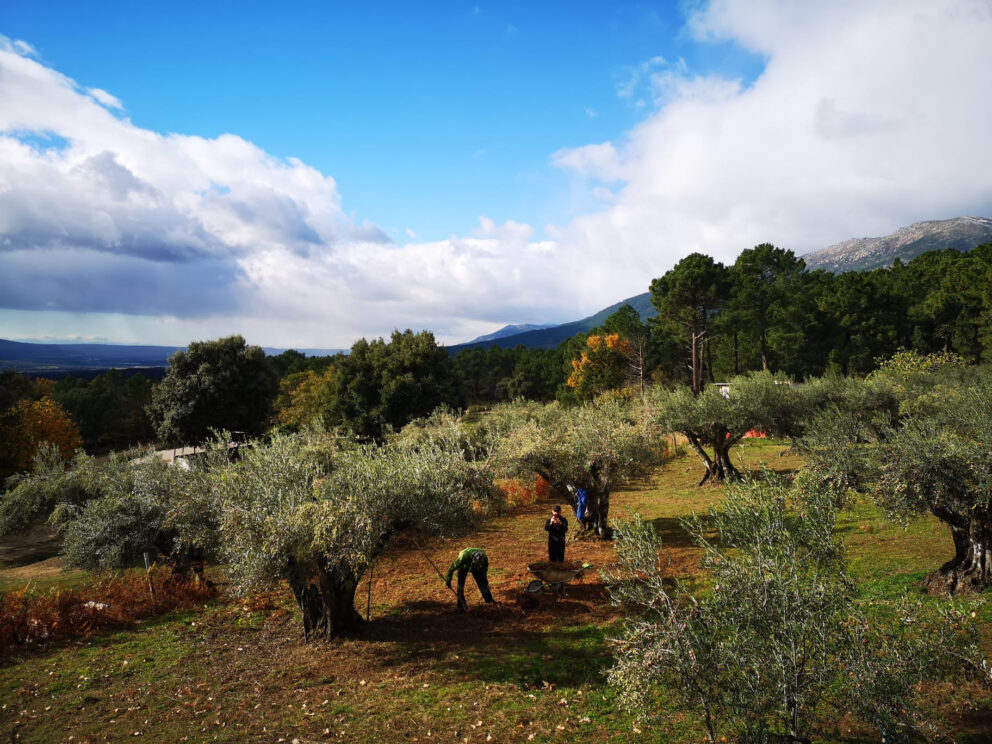 Patto Verde Europeo, gli obiettivi pianificati sono ancora lontani