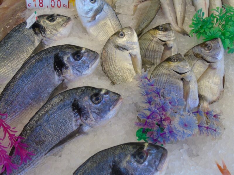 La pesca sostenibile pugliese raccontata al Seafood Expo Global di Barcellona