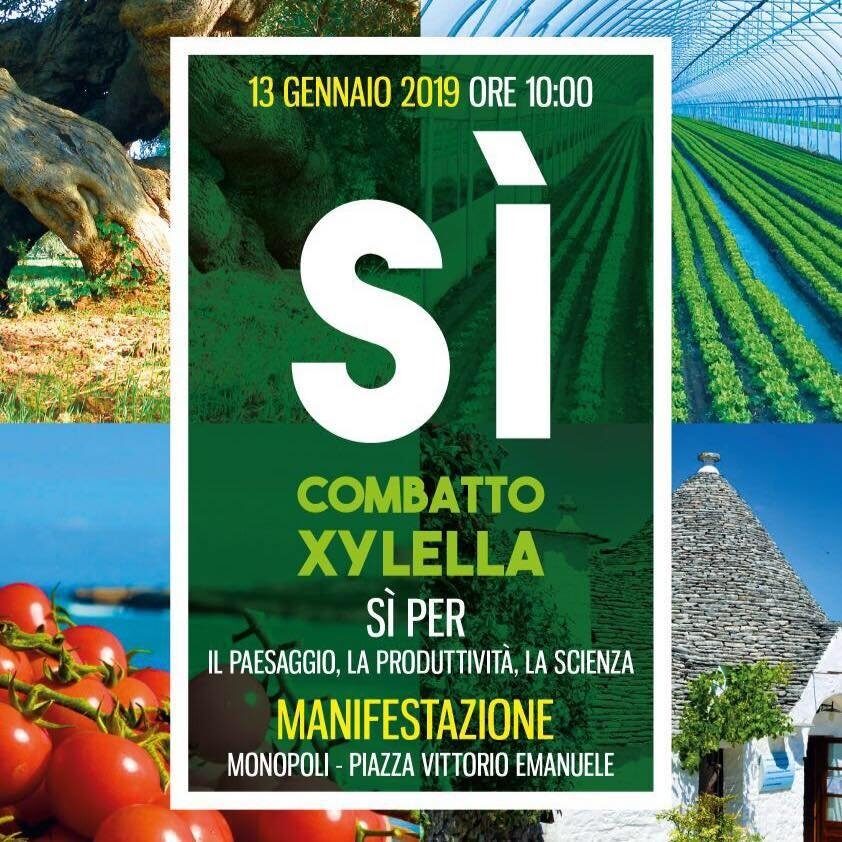 Sì, combatto Xylella