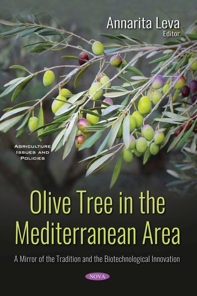L’olivo nell’area mediterranea