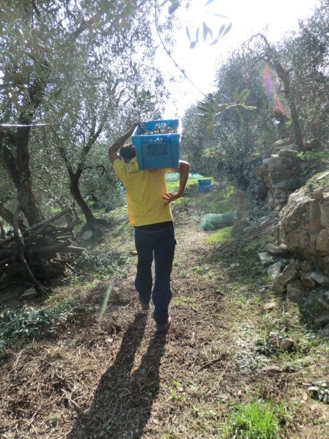 Un patto per l’olio